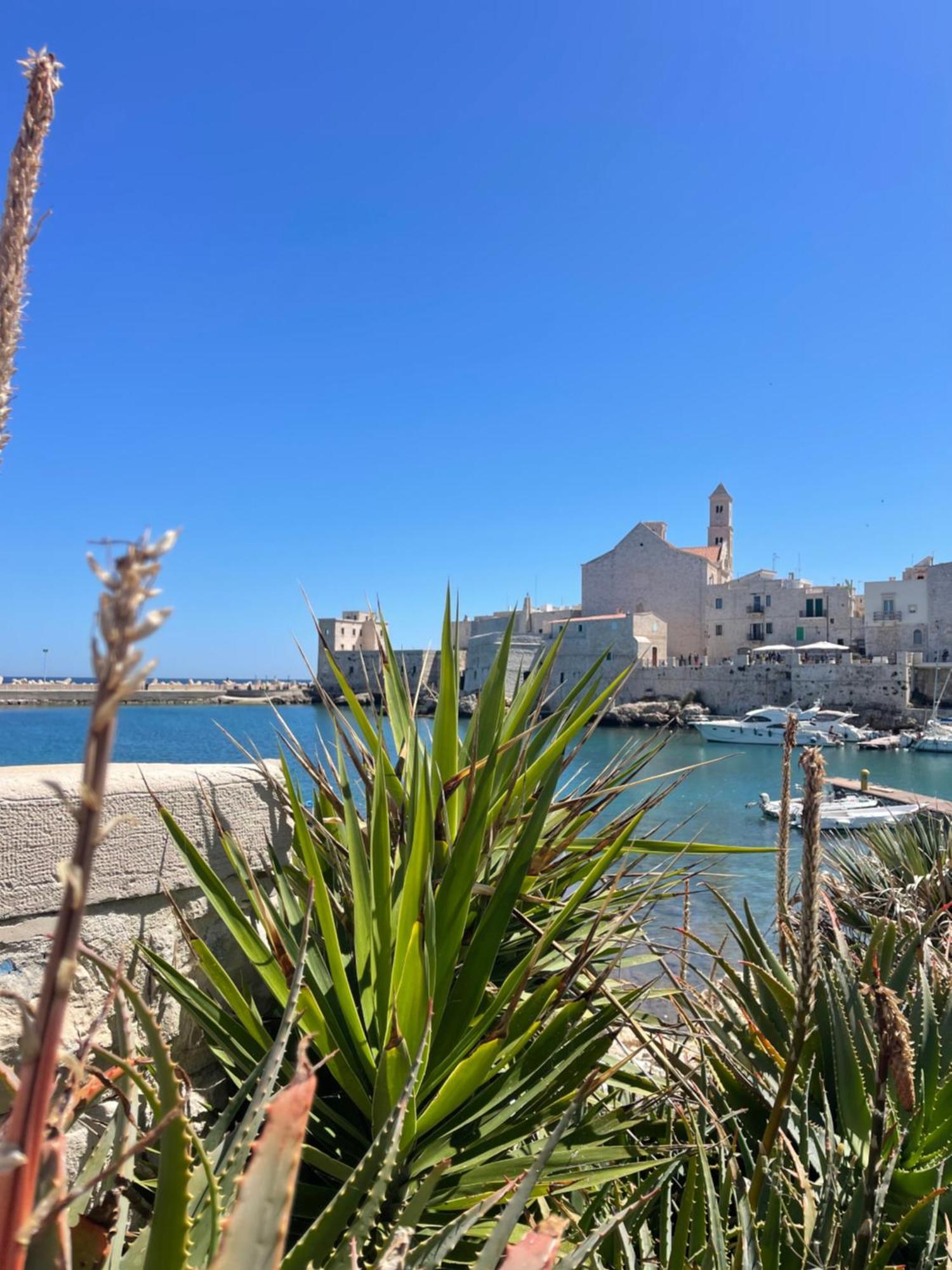 Arcomare Suite Giovinazzo Eksteriør billede